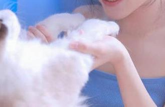 吃瓜要趁早！166.run传送门曝光的内幕，简直让人想搬个小板凳来围观。
