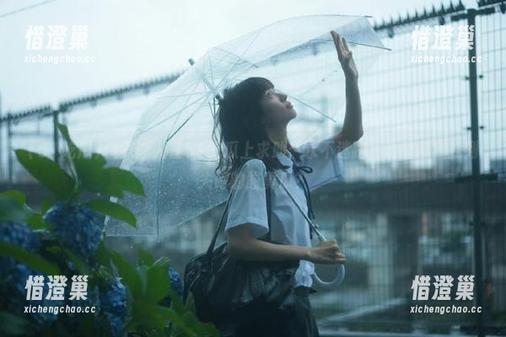 51吃瓜 俄罗斯人在51吃瓜上求助:永不迷路,谁能帮我找到失踪的酸黄瓜?