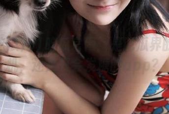 51吃瓜官网：是吃瓜界的老司机，还是只会发糖的app？
