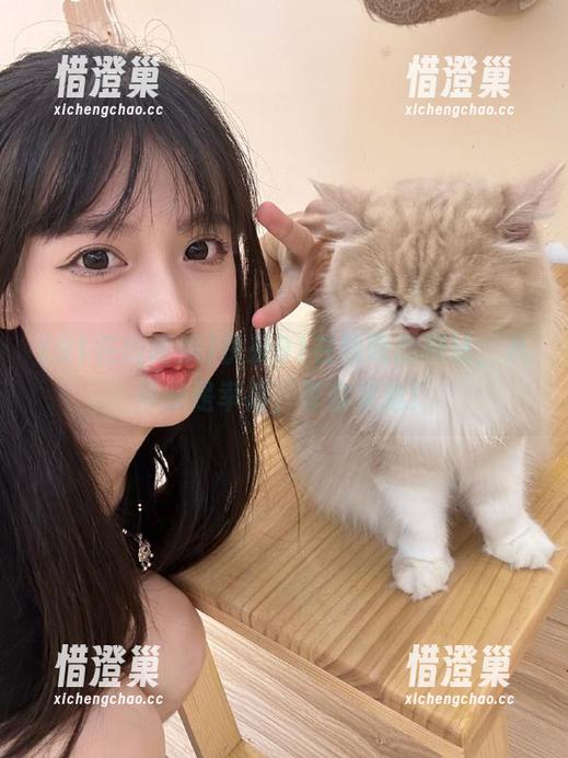 快来91在线吃瓜网站，八卦即是幸福，等你来抢！