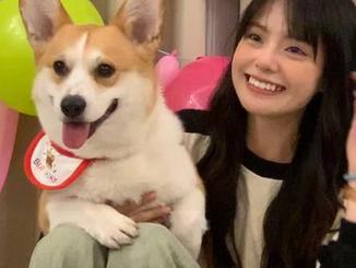 观看“www吃瓜网”：你永不迷路，只要你能忍受那些花里胡哨的广告！