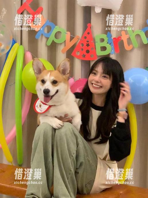 观看“www吃瓜网”：你永不迷路，只要你能忍受那些花里胡哨的广告！