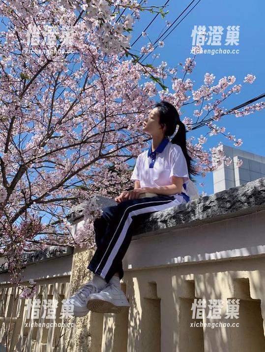 从此不再孤单，www.xgua5.tv让你随时在线吃瓜的网站！