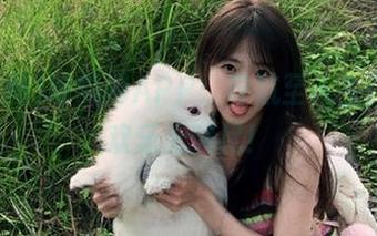 吃瓜网APP：导航至人生百态，欢乐无穷尽！