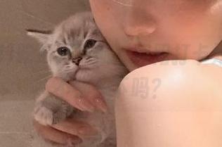 吃瓜网导航：朝阳打卡好去处，不来一下吗？