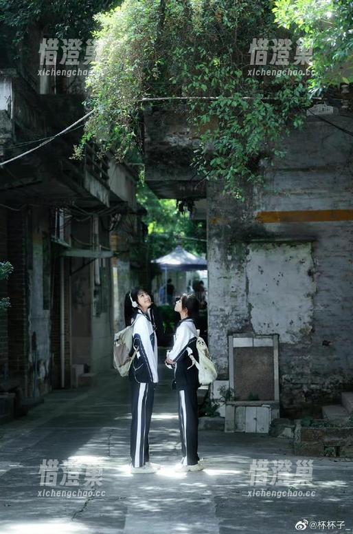 吃瓜黑料在线：视频聚集地，让你瞬间秒懂八卦！