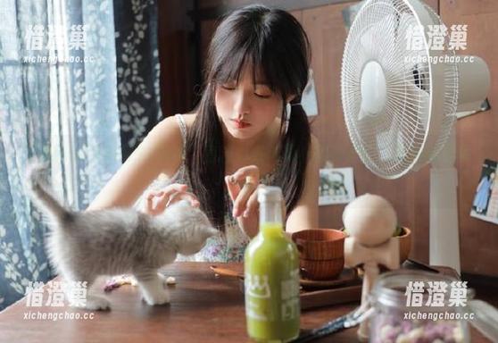 黑料91网页，直击八卦内幕，感觉自己就是剧情的旁观者～