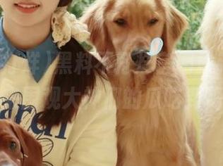 黑料不打烊官网最新地址，快来围观大神们的瓜吃到嗨！