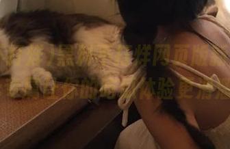 黑料不打烊网页版新版本，ios专属让你的吃瓜体验更滑溜！