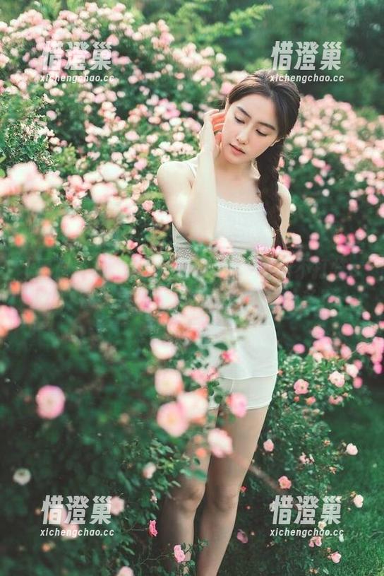 zztt15.su黑料不打烊so，在线导航揭秘，哪颗瓜最汁多？