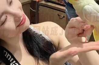 最新669.su黑料正能量曝光率飙升，入口网站成了朋友间的开聊神器！