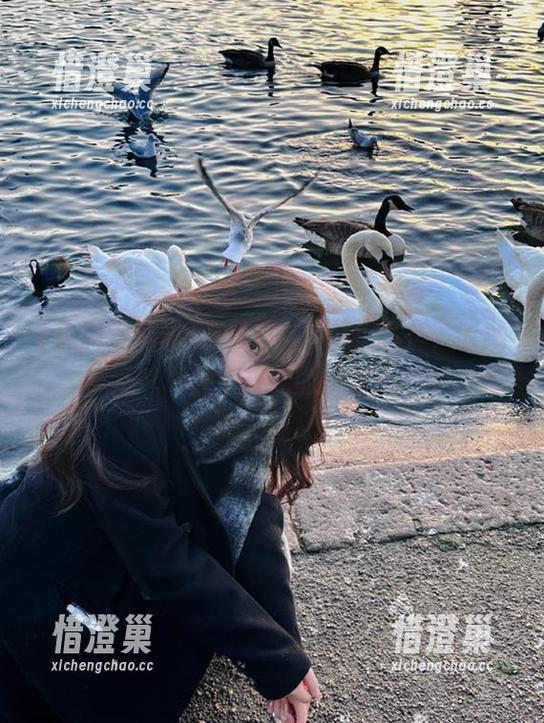 黑料老司机 当黑料老司机不打烊,收藏一整个夜晚的秘密!