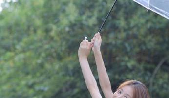 黑社料下载：吃瓜人的永不迷路秘籍，掌握真相只需一键！